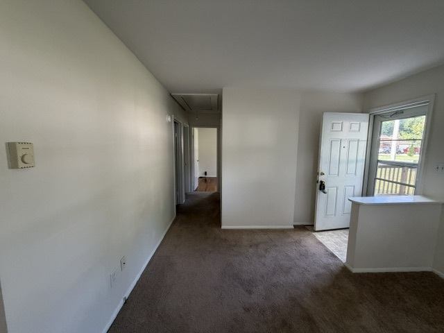 Gallery Photo 9